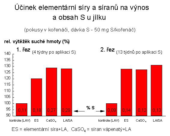 11d_cz.jpg